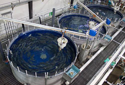 Closed containment tanks Closed containment tanks